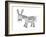 Animals Donkey-Neeti Goswami-Framed Art Print