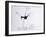 Animals (dragons, monsters, reptiles) (drawing)-Ralph Steadman-Framed Giclee Print