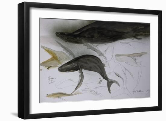 Animals (fish), Whale, 1987 (ink on paper)-Ralph Steadman-Framed Giclee Print