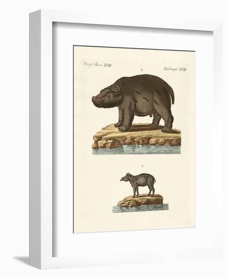 Animals from Hot Countries-null-Framed Giclee Print