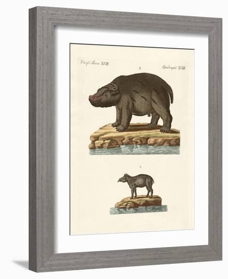 Animals from Hot Countries-null-Framed Giclee Print