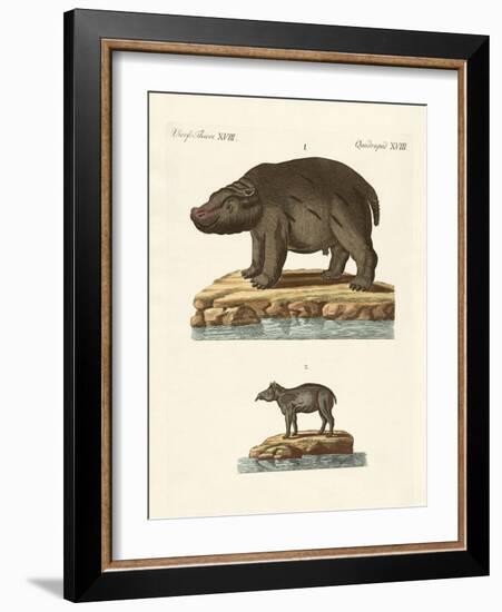 Animals from Hot Countries-null-Framed Giclee Print