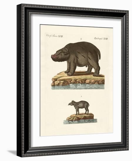 Animals from Hot Countries-null-Framed Giclee Print