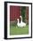 Animals Geese Family-Jeff Rasche-Framed Photographic Print