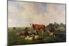 Animals Grazing in a Meadow-Hendrikus van de Sende Baachyssun-Mounted Giclee Print