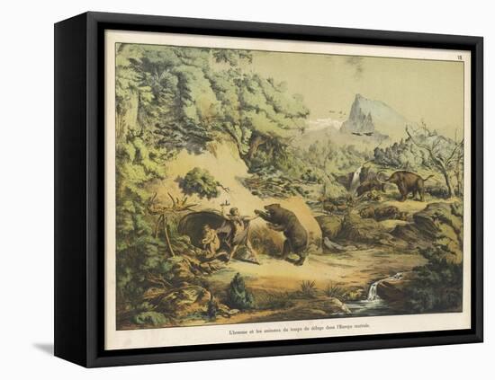 Animals (Including Homo Sapiens) at the Time of the Flood-Ferdinand Von Hochstetter-Framed Stretched Canvas