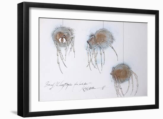 Animals (insects), Bernard the Lazy Spider, 1986 (ink on paper)-Ralph Steadman-Framed Giclee Print