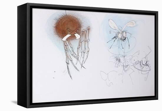 Animals (insects), Bernard the Lazy Spider, 1986 (ink on paper)-Ralph Steadman-Framed Premier Image Canvas