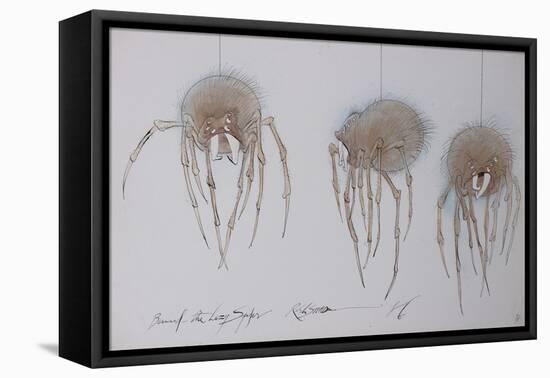 Animals (insects), Bernard the Lazy Spider, 1986 (ink on paper)-Ralph Steadman-Framed Premier Image Canvas