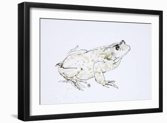 Animals (Reptiles) 1 (drawing)-Ralph Steadman-Framed Giclee Print