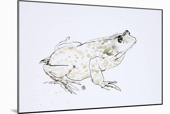 Animals (Reptiles) 1 (drawing)-Ralph Steadman-Mounted Giclee Print