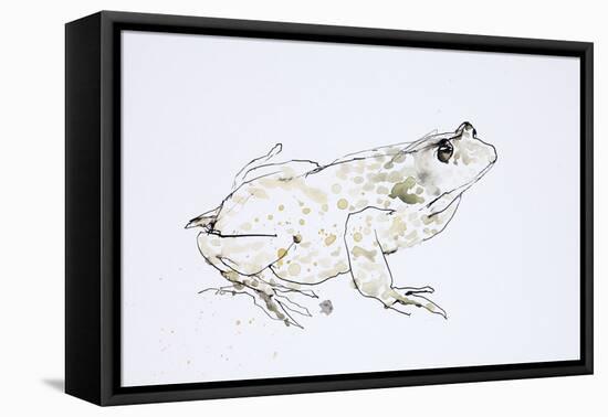 Animals (Reptiles) 1 (drawing)-Ralph Steadman-Framed Premier Image Canvas