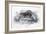 Animals, Skunk 19C-Col H Smith-Framed Art Print