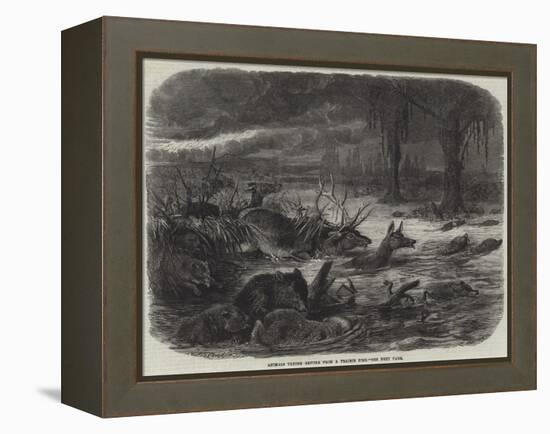 Animals Taking Refuge from a Prairie Fire-Johann Baptist Zwecker-Framed Premier Image Canvas