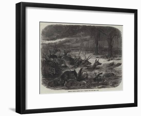 Animals Taking Refuge from a Prairie Fire-Johann Baptist Zwecker-Framed Giclee Print