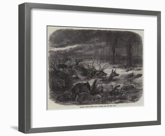 Animals Taking Refuge from a Prairie Fire-Johann Baptist Zwecker-Framed Giclee Print