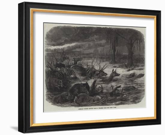 Animals Taking Refuge from a Prairie Fire-Johann Baptist Zwecker-Framed Giclee Print