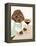 Animated Animals I-Tara Royle-Framed Stretched Canvas