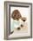 Animated Animals I-Tara Royle-Framed Art Print