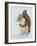 Animated Animals V-Tara Royle-Framed Art Print