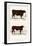Animated Nature – A Portrait of an Ox and Bull-Vintage Reproduction-Framed Art Print