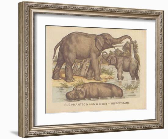 Animaux d'Afrique, Elephant-null-Framed Art Print