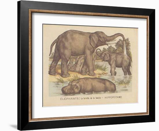 Animaux d'Afrique, Elephant-null-Framed Art Print