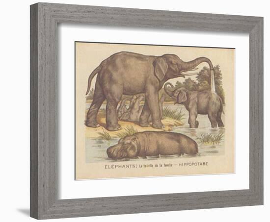 Animaux d'Afrique, Elephant-null-Framed Art Print