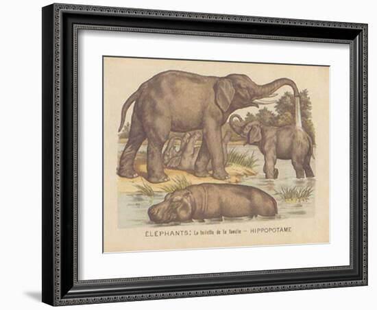 Animaux d'Afrique, Elephant-null-Framed Art Print