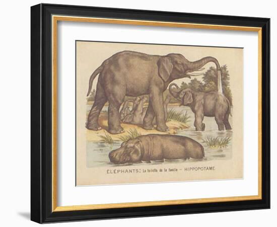 Animaux d'Afrique, Elephant-null-Framed Art Print