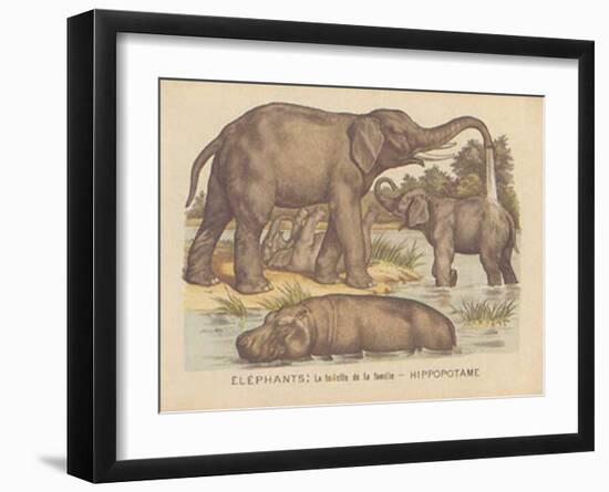 Animaux d'Afrique, Elephant-null-Framed Art Print