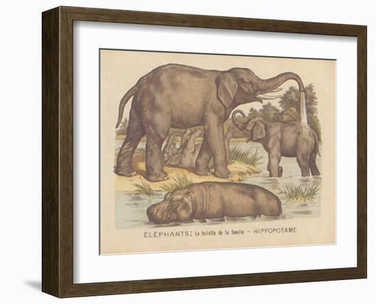 Animaux d'Afrique, Elephant-null-Framed Art Print