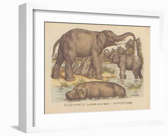 Animaux d'Afrique, Elephant-null-Framed Art Print