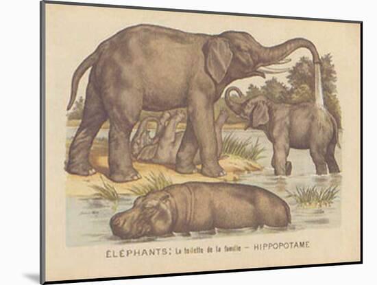 Animaux d'Afrique, Elephant-null-Mounted Art Print