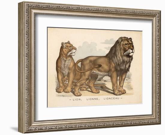 Animaux d'Afrique, Lion-null-Framed Art Print