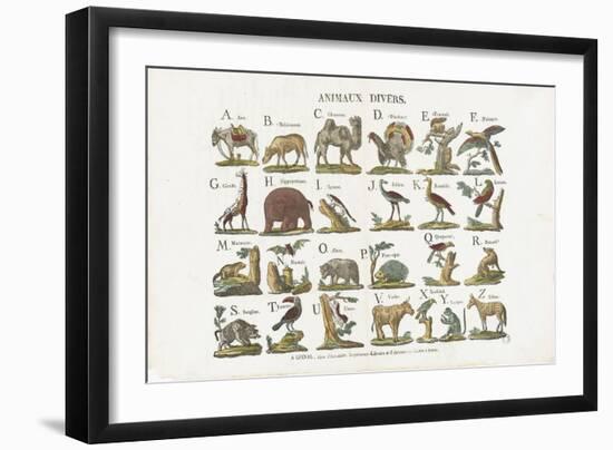 Animaux divers-null-Framed Giclee Print