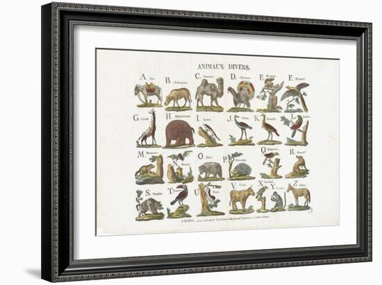 Animaux divers-null-Framed Giclee Print