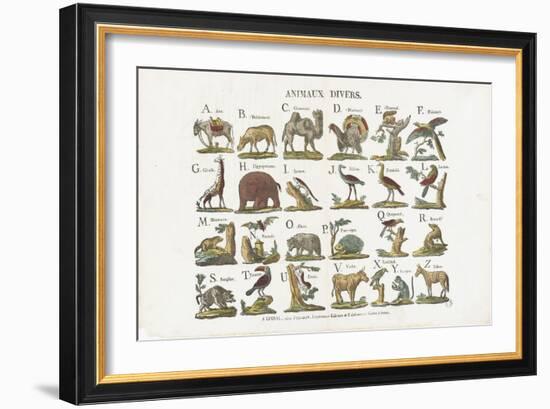 Animaux divers-null-Framed Giclee Print