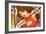 Anime Fighter-Harry Briggs-Framed Giclee Print