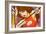 Anime Fighter-Harry Briggs-Framed Premium Giclee Print
