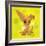 Anime Puppy-Harry Briggs-Framed Premium Giclee Print