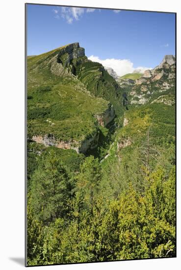 Anisclo Canyon and Eroded Karst Mondoto Peak, Ordesa and Monte Perdido Nat'l Pk, Huesca, Spain-Nick Upton-Mounted Photographic Print