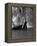 Anita Ekberg, La Dolce Vita, Federico Fellini, 1960 (b/w photo)-null-Framed Stretched Canvas