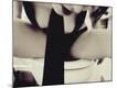 Premium Photographic Print