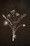 Crocus Flower on White-Anjo Kan-Framed Photographic Print