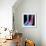 Ankle Pain, Conceptual Artwork-David Mack-Framed Premium Photographic Print displayed on a wall