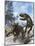 Ankylosaurus Hits Tyrannosaurus Rex with it's Clubbed Tail in Self-Defense-Stocktrek Images-Mounted Art Print