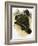 Ankylosaurus-Francis Phillipps-Framed Giclee Print