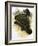 Ankylosaurus-Francis Phillipps-Framed Giclee Print