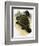 Ankylosaurus-Francis Phillipps-Framed Giclee Print